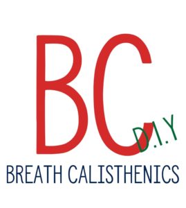 logo joost maijvis